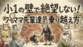 IMG 6555